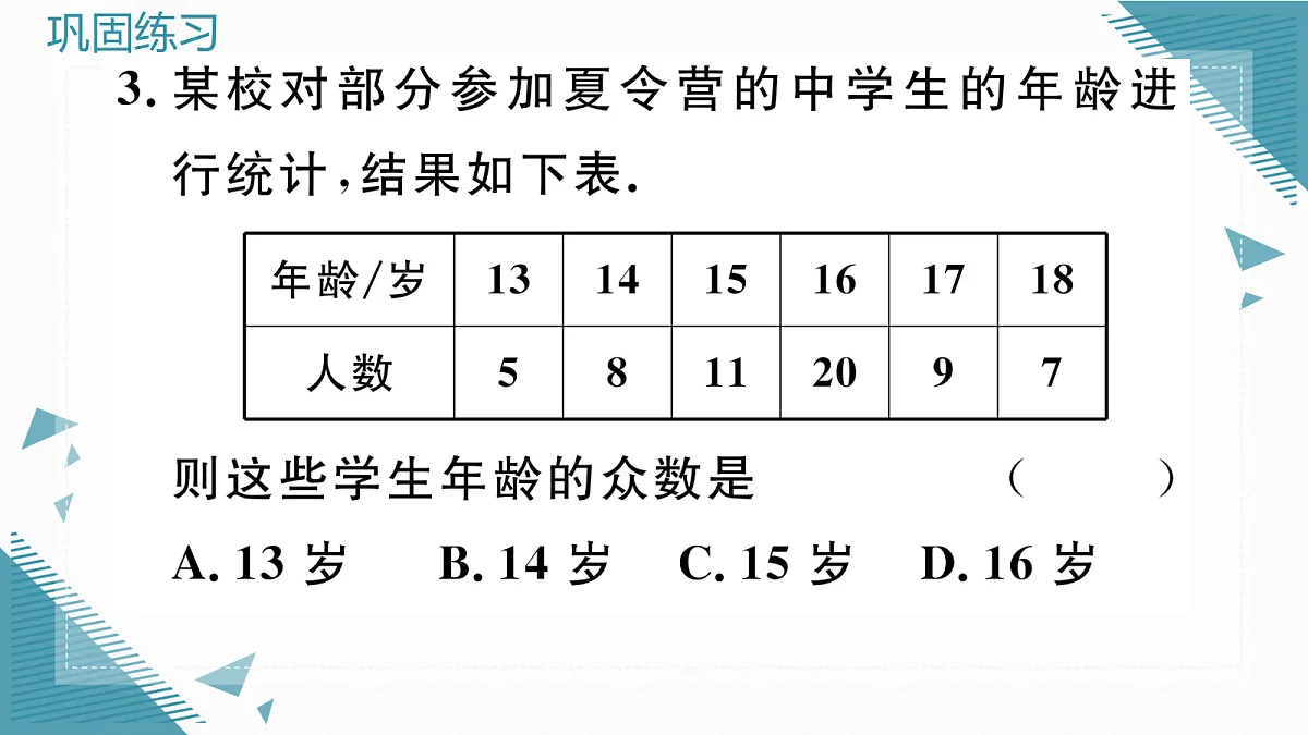 17296338第4页