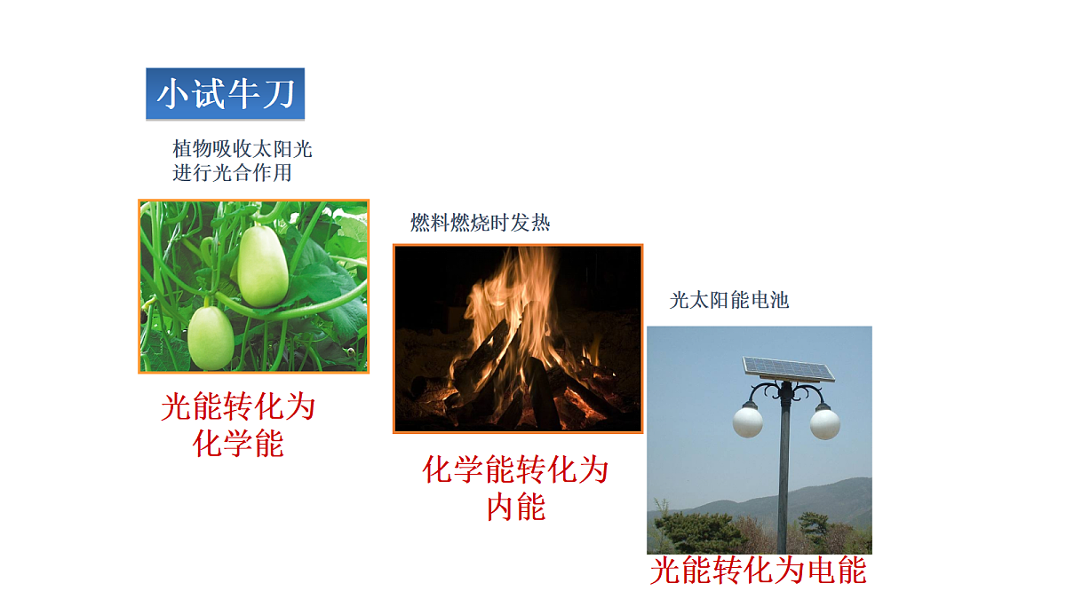 17296387第7页
