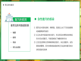 綠色卡通插畫風(fēng)夏季腹瀉預(yù)防 課件