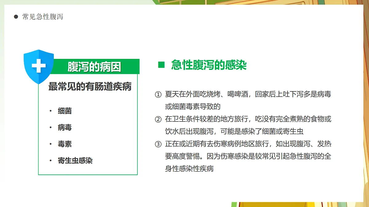 17296498第5页