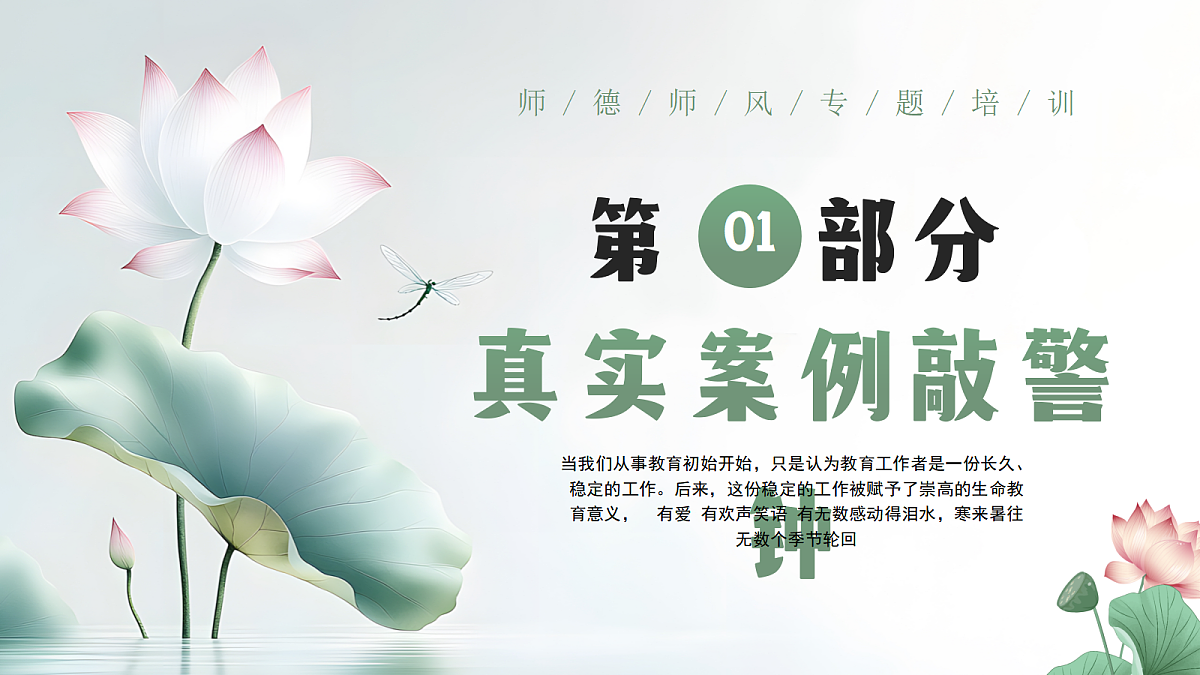 17296502第3页