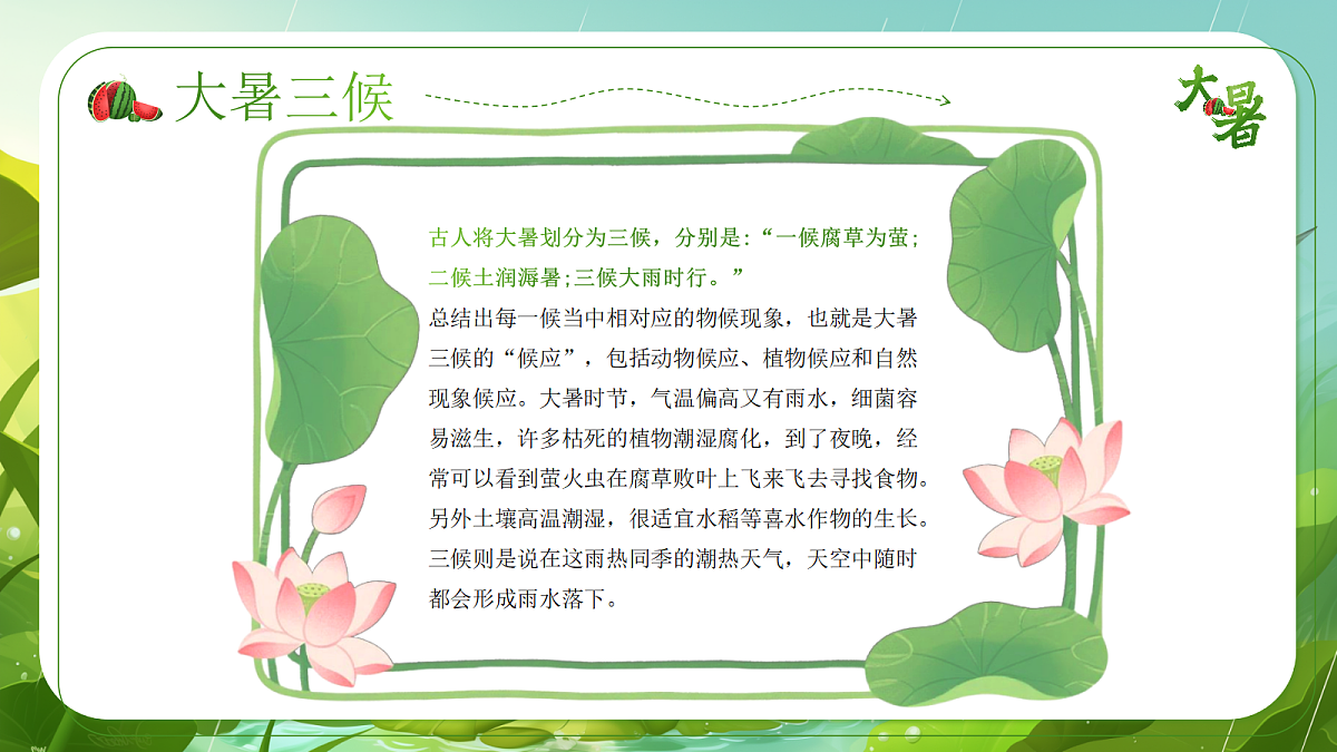 17296507第8页