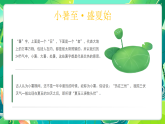 綠色卡通二十四節(jié)氣之小暑校園節(jié)氣教育活動主題班會課件