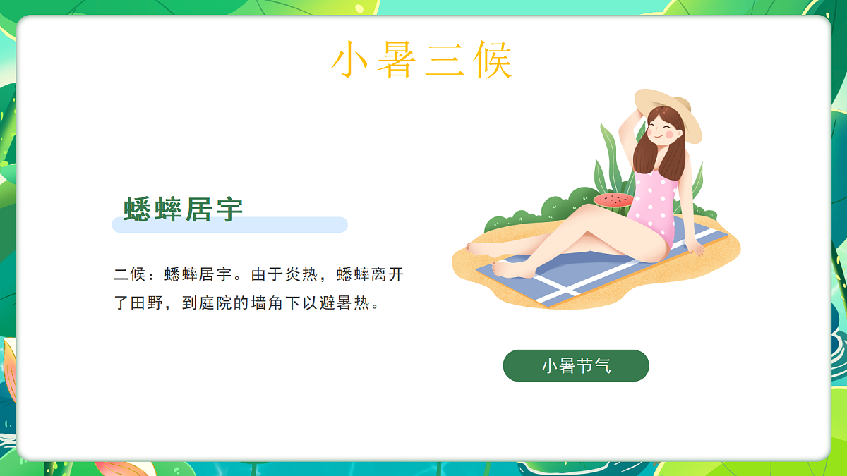 17296531第8页