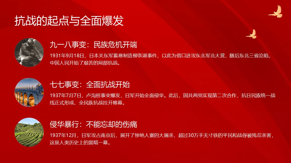 17296606第4页