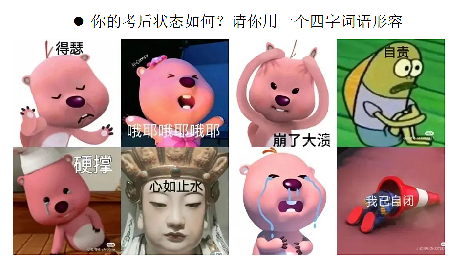 17296612第5页