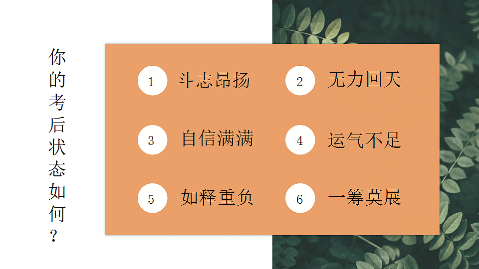 17296612第6页