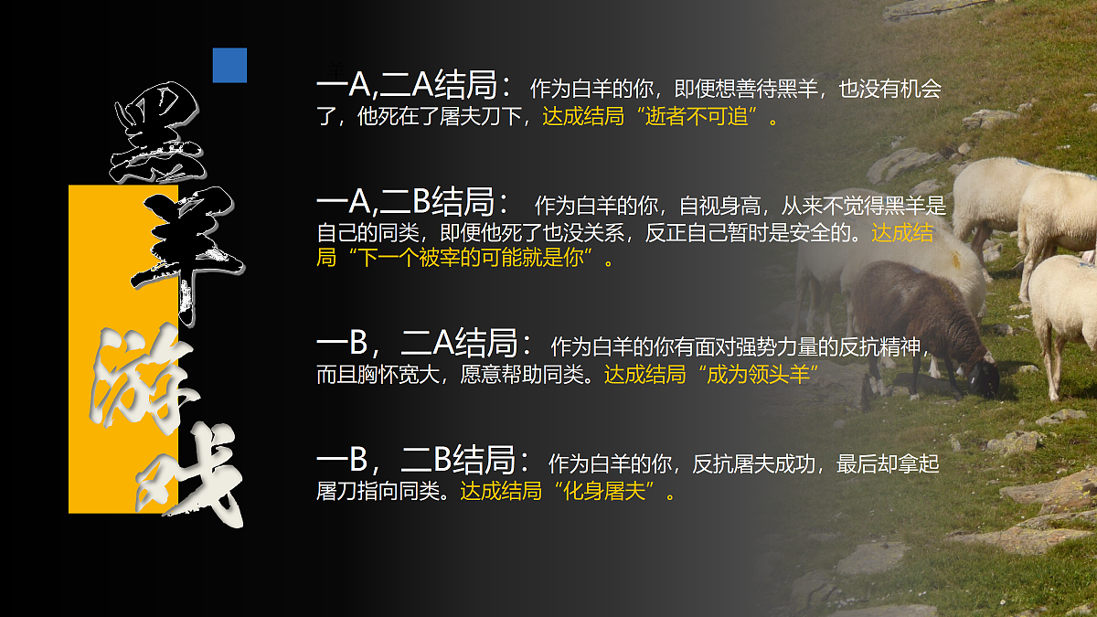 17296660第3页
