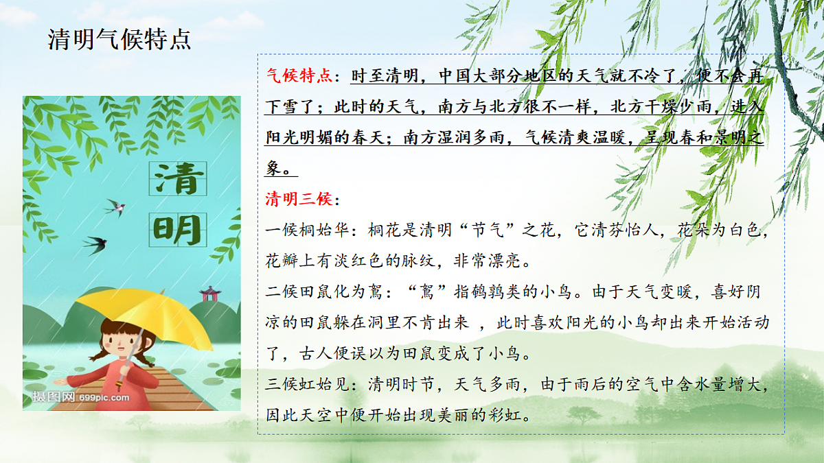 17296669第7页