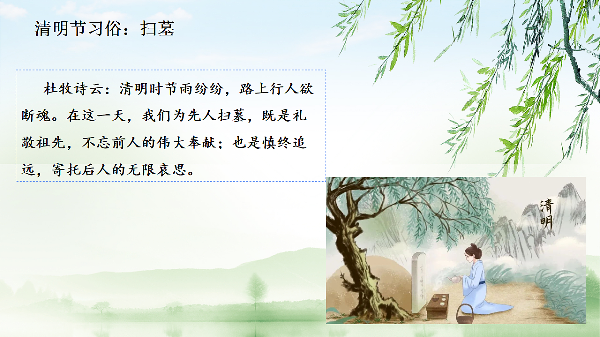 17296669第8页