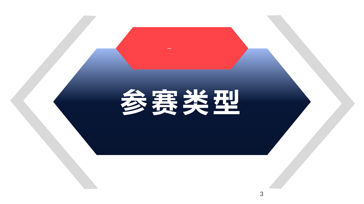 17296676第3页