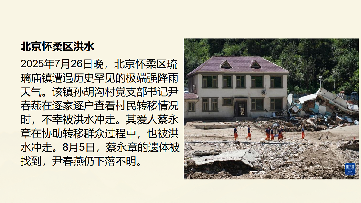 17296683第5页