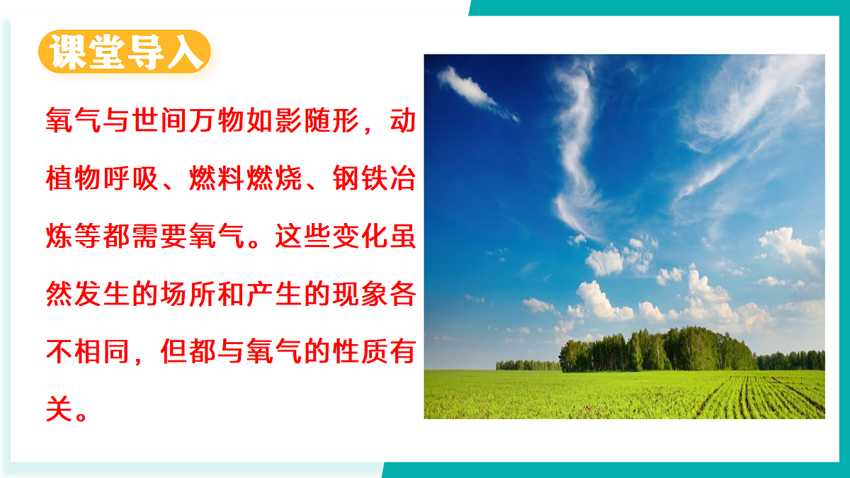17296768第3页