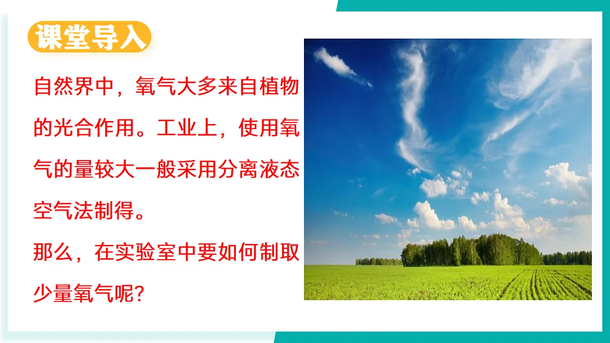 17296775第3页