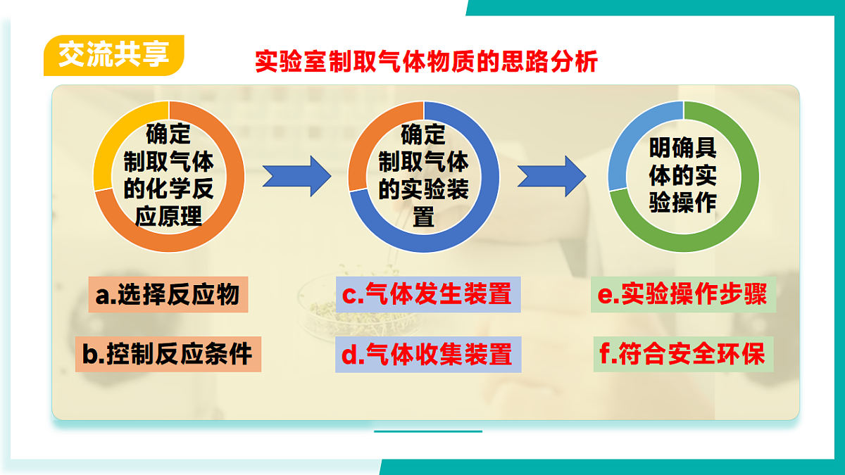 17296775第5页