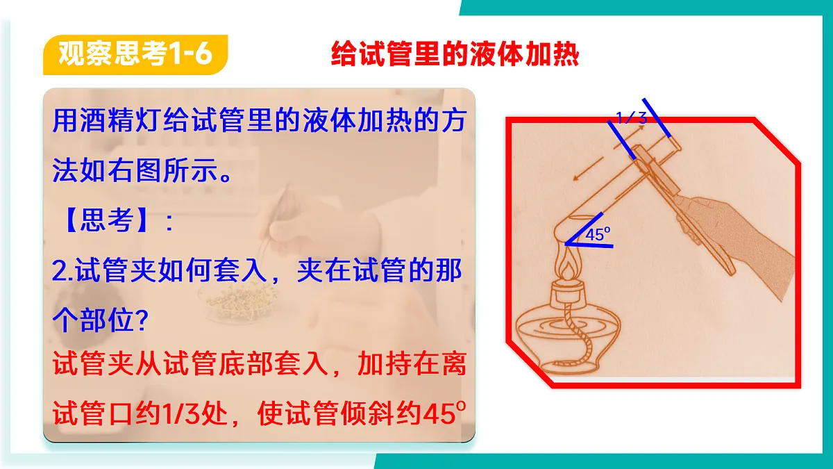 17296776第8页