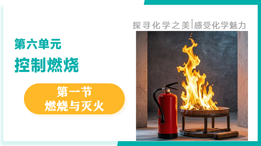 17296780第1页
