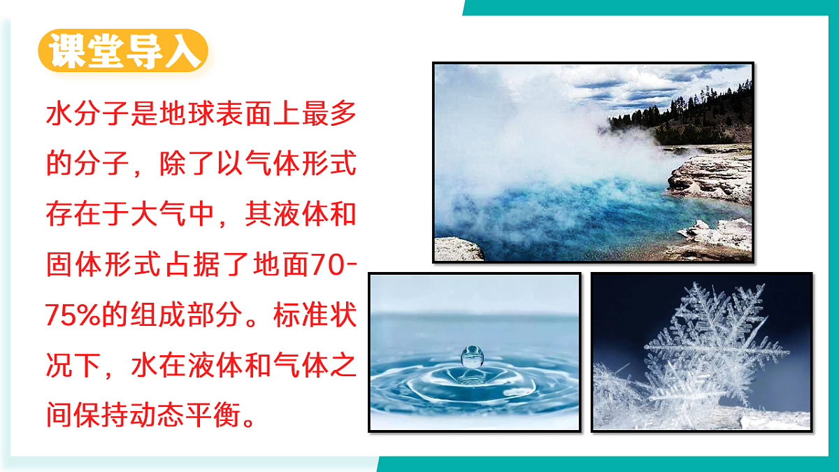 17296781第3页