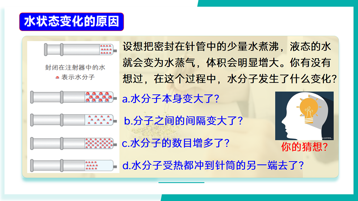 17296781第5页