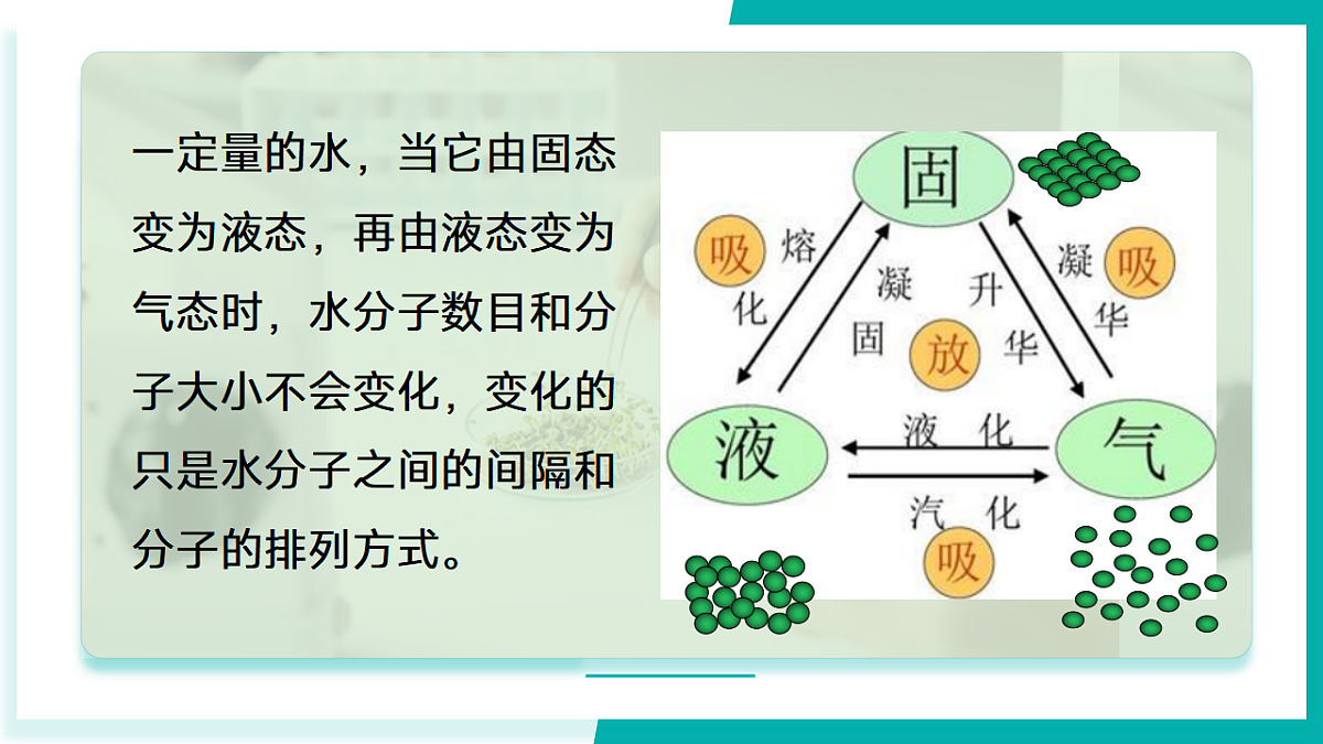 17296781第6页