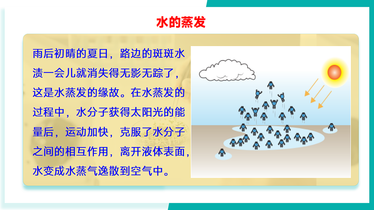 17296781第7页