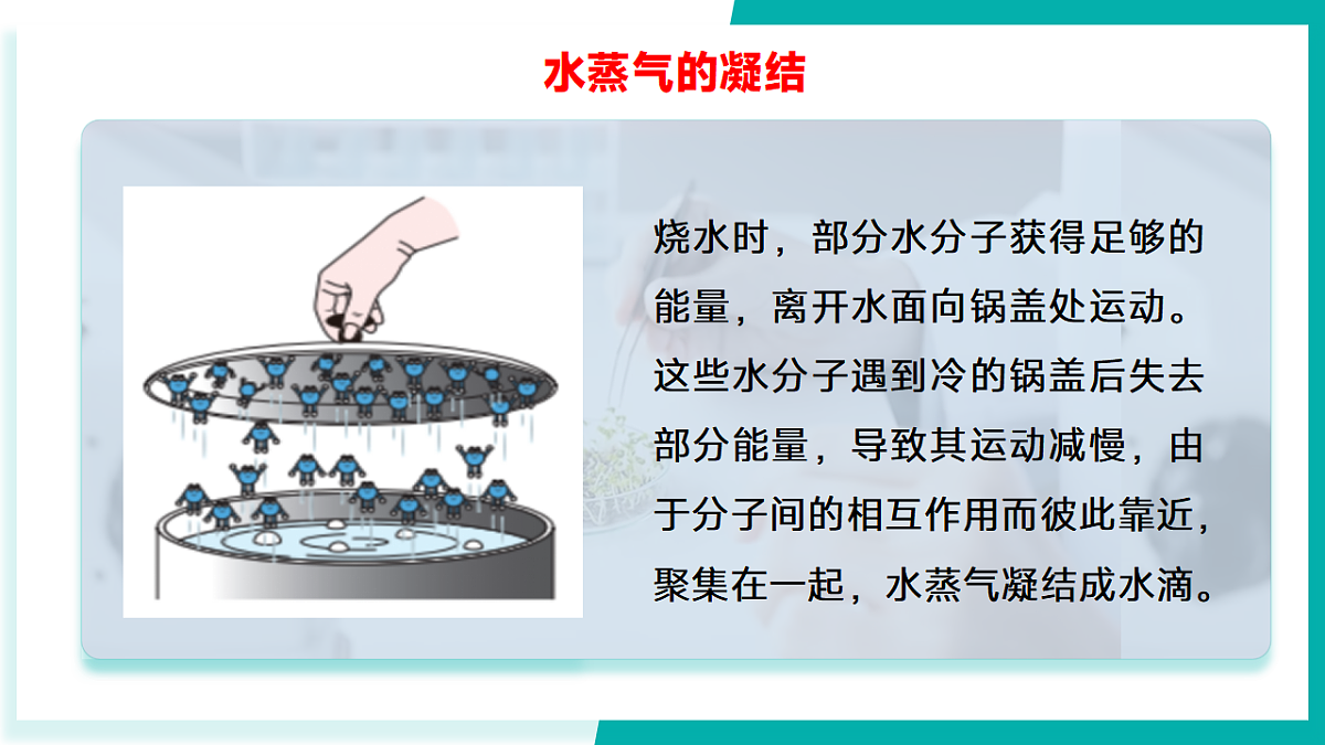 17296781第8页