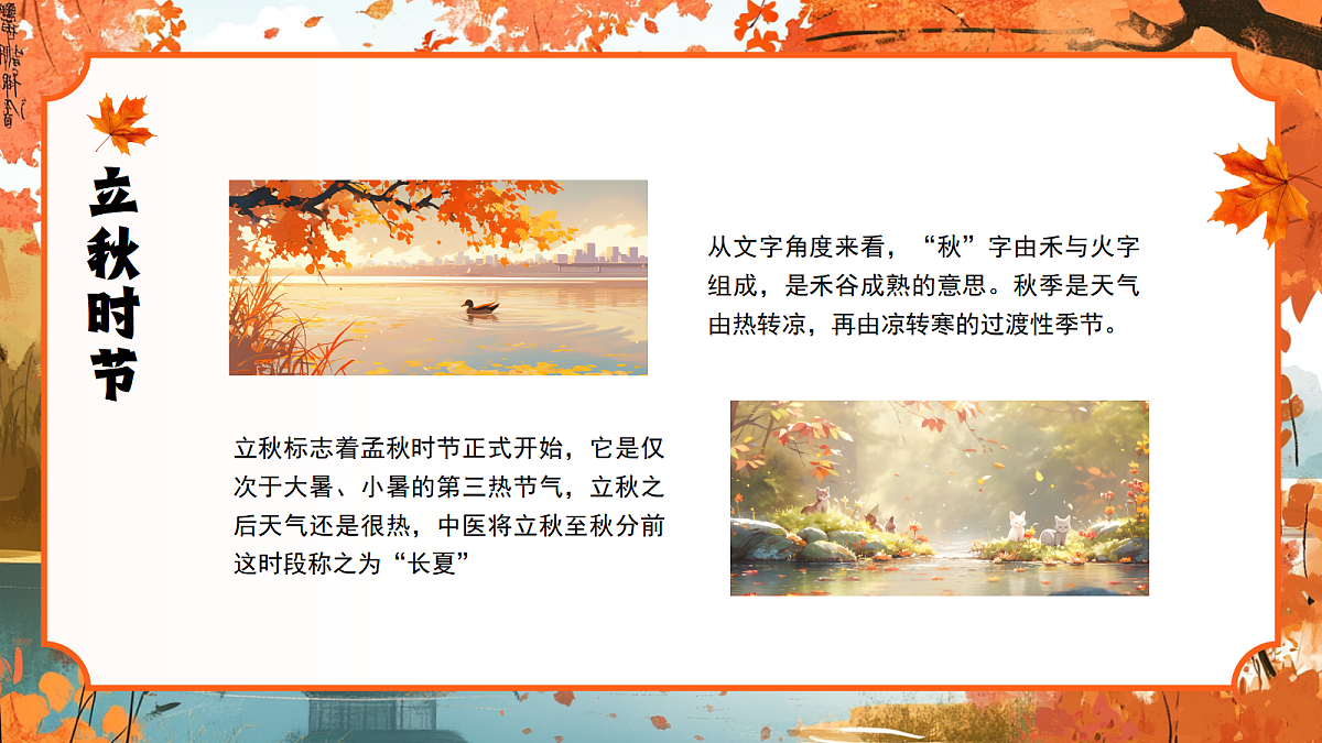 17296805第5页