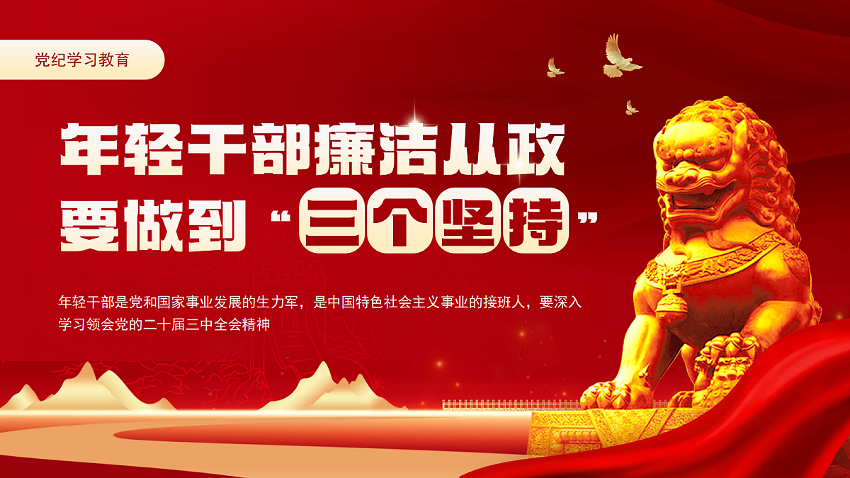 17296848第1页