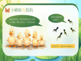綠色畫風小蝌蚪找媽媽故事課件