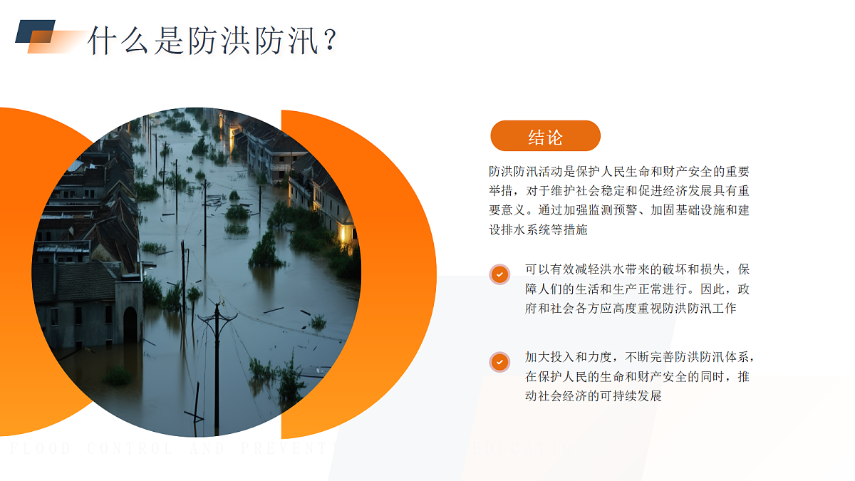 17296869第8页