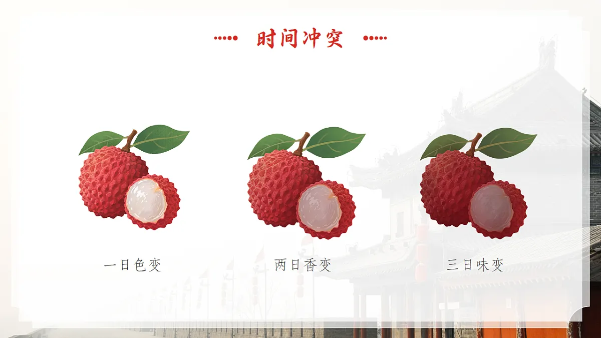 17297016第8页