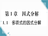 2025年湘教版初中数学八年级上册1.1  多项式的因式分解习题课课件（含答案解析）