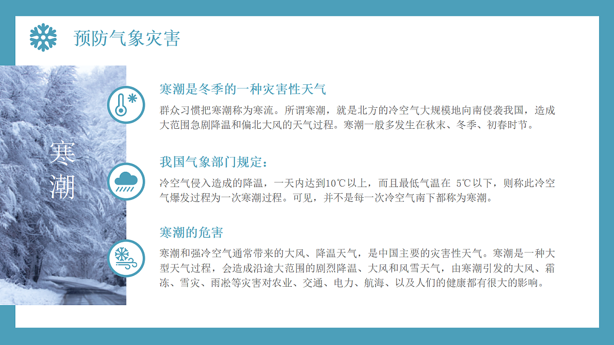 17297292第5页