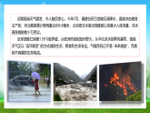 初中主題班會(huì) 共守生態(tài)綠 ，同筑地球藍(lán) 教學(xué)課件