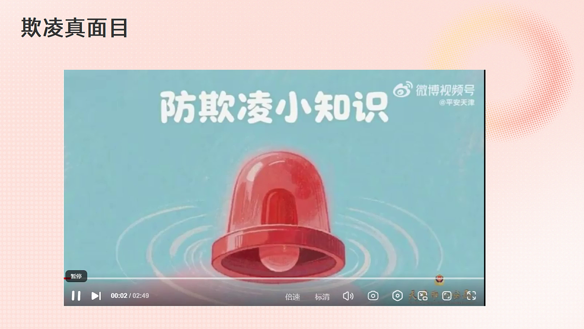 17297346第4页