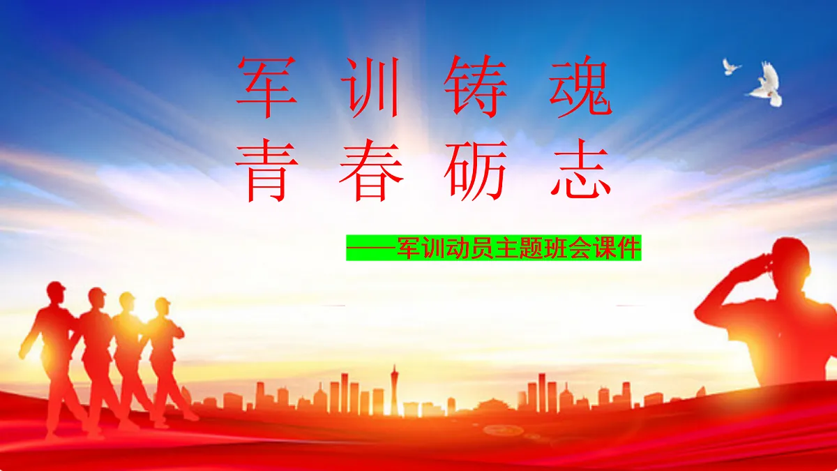 17297355第1页