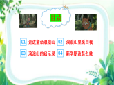 浪浪山巔觀己身，少年路上啟新程——以《浪浪山的小妖怪》 教學(xué)課件