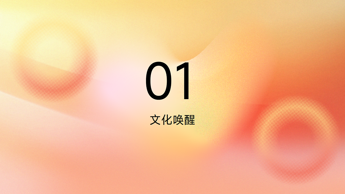 17297926第3页