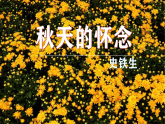 统编版语文七年级上册第5课《秋天的怀念》课件
