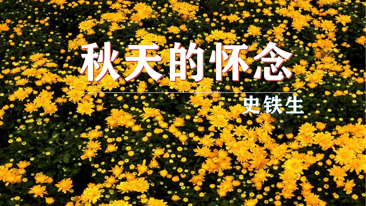17297979第3页