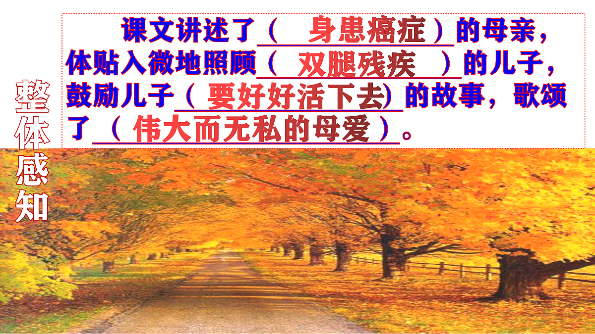 17297979第5页
