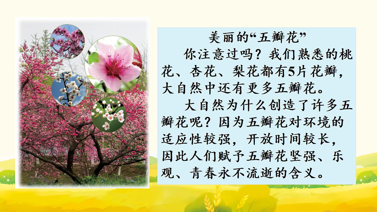 17298724第3页