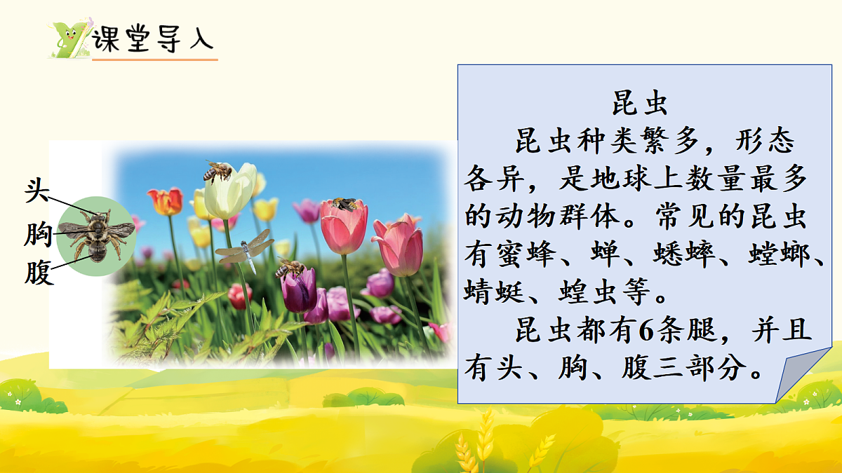 17298727第2页