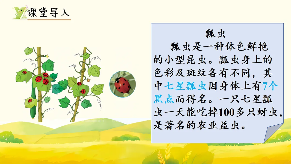 17298730第2页