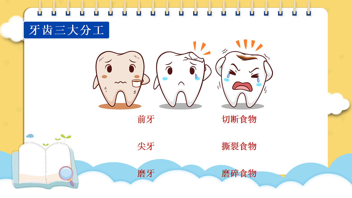 17299226第4页