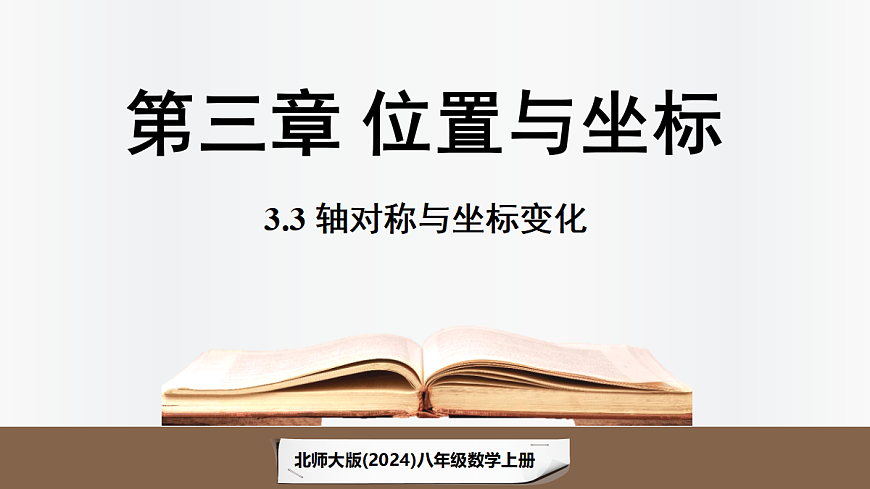 17299356第1页