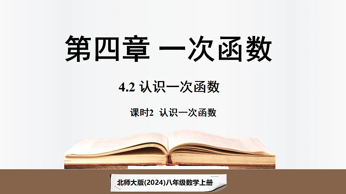 17299359第1页
