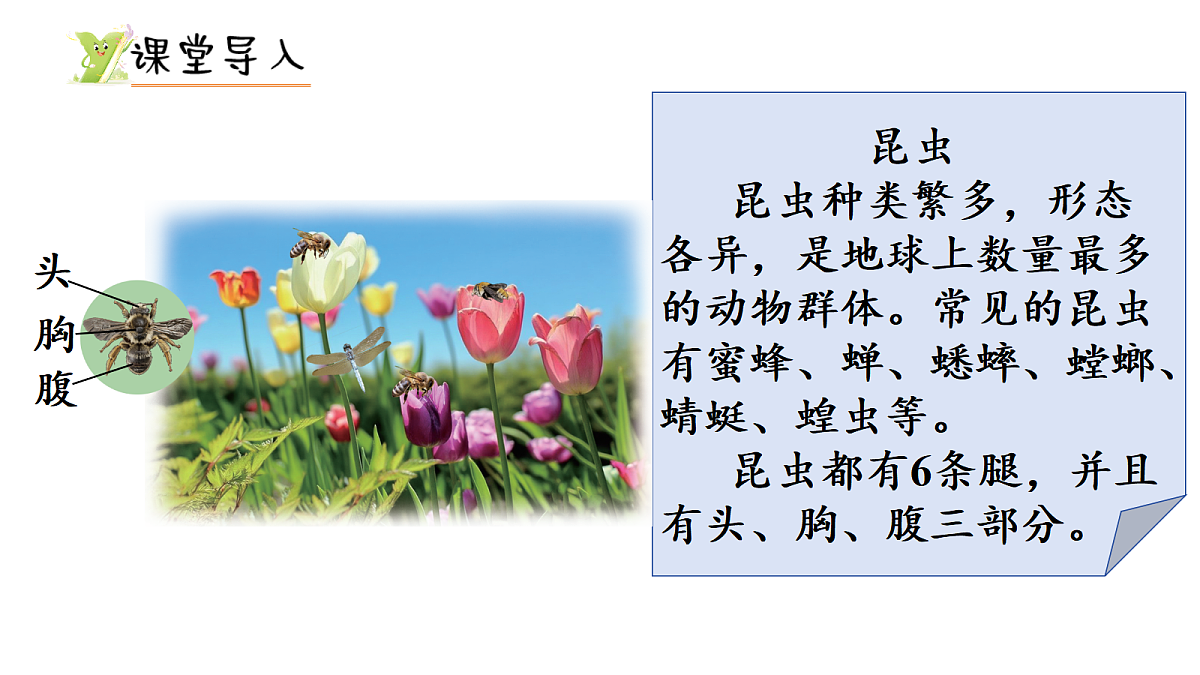 17299659第2页