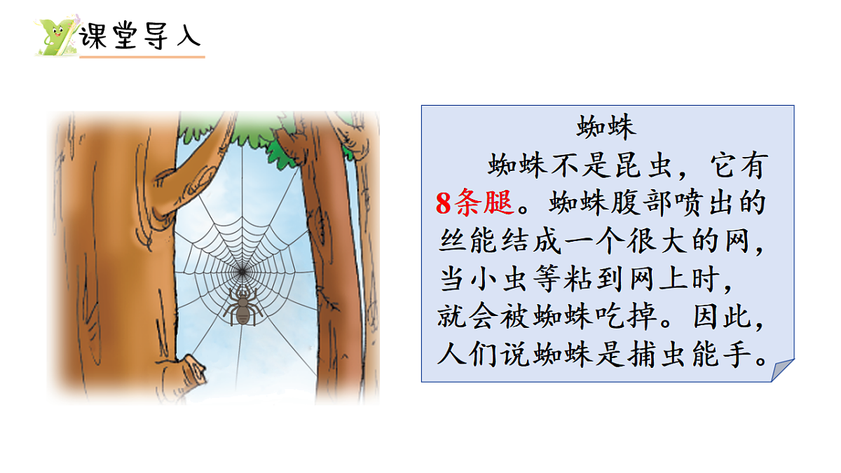 17299661第2页