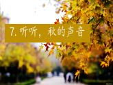 【教学评一体化设计】2025年秋统编版小学语文三年级上册7.《听听，秋的声音》一课时课件